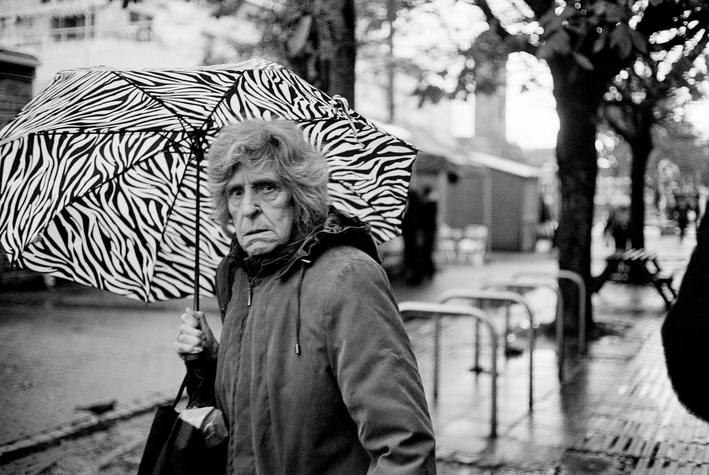 Zebra Brolly